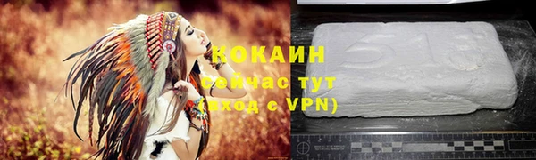 СК Аркадак