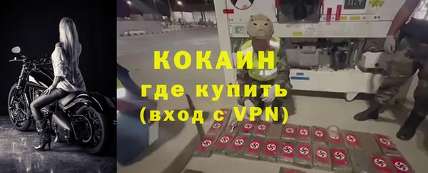 амф Арсеньев