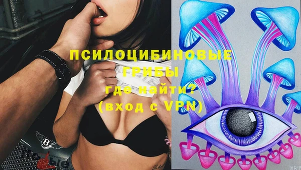 mdpv Армянск