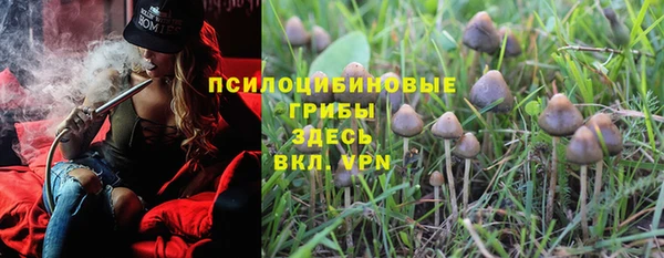 амф Арсеньев