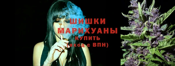 амф Арсеньев